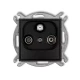 12MGS.webp