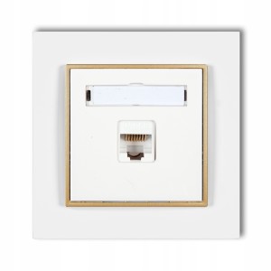 Gniazdo Internetowe 1X Z Ramką Karlik Mini 00/29