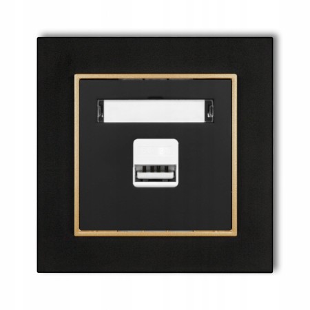 Gniazdo Ładowarka 1Xusb 2A Z Ramką Mini 12/29