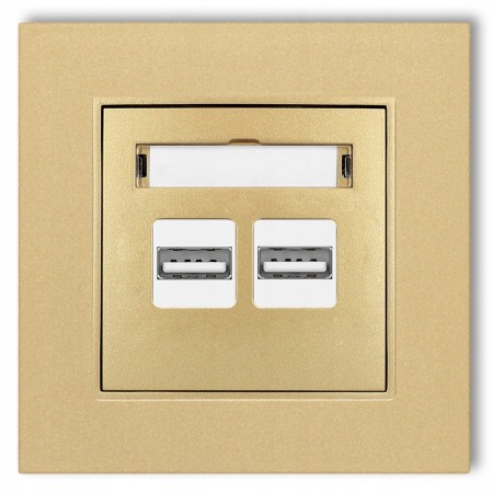 Gniazdo Ładowarka 2Xusb 3.1A Z Ramką Mini 29/29