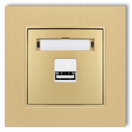 Gniazdo Ładowarka 1Xusb 2A Z Ramką Mini 29/29