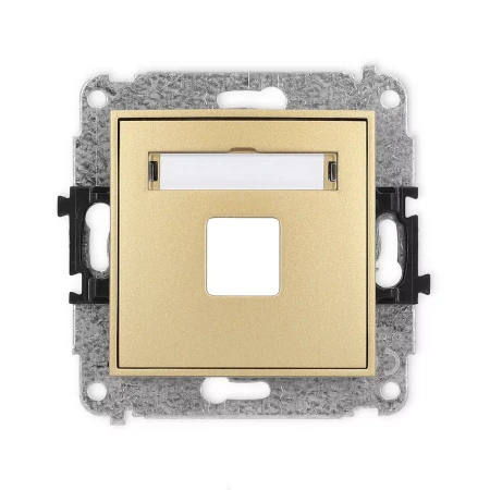 Icon Mechanizm Gniazda Multimedialnego Pojednczego Bez Modułu (Standard Keystone) Złoty 29Igm-1P