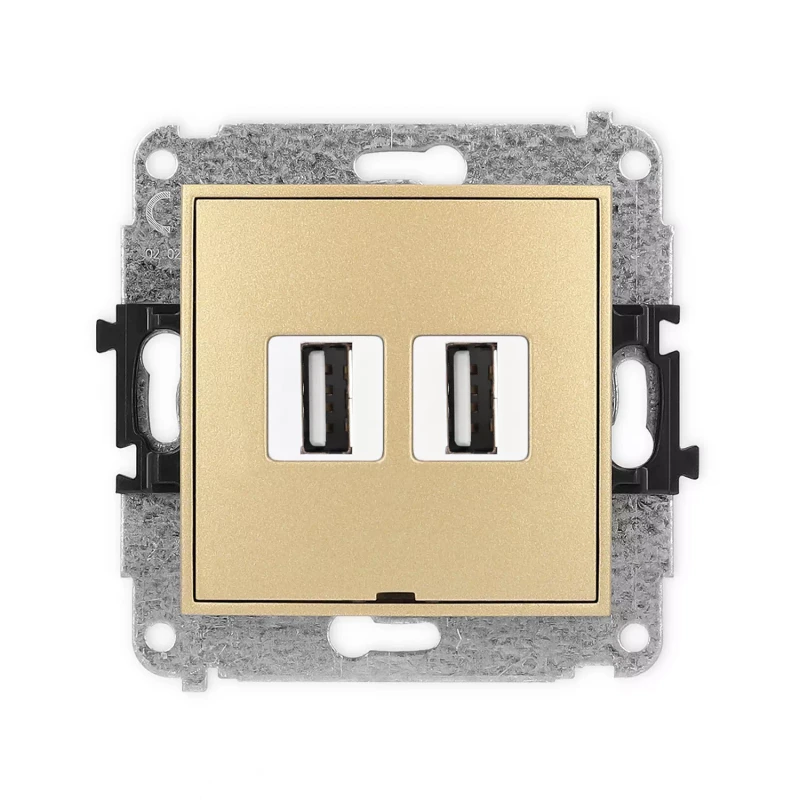 Icon Mechanizm Gniazda Podwójnego 2Xusb A-A 2.0, Bez Pola Opisowego Złoty 29Igusbbo-2