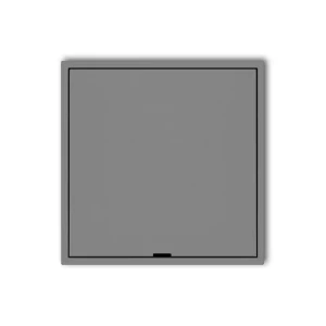 Icon Ramka Pośrednia Z Zaślepką  Szary Mat 27Irpz