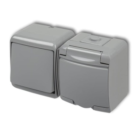 Włącznik Jednobiegunowy Z Gniazdem Pojedynczym Z Uziemieniem 2P+Z (Klapka Popielata; Bez Przesłon) Natynkowy Popielaty Junior