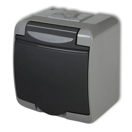 Gniazdo Pojedyncze Z Uziemieniem 2P+Z (Klapka Grafitowa; Bez Przesłon) Natynkowy Popielaty / Grafitowy Junior