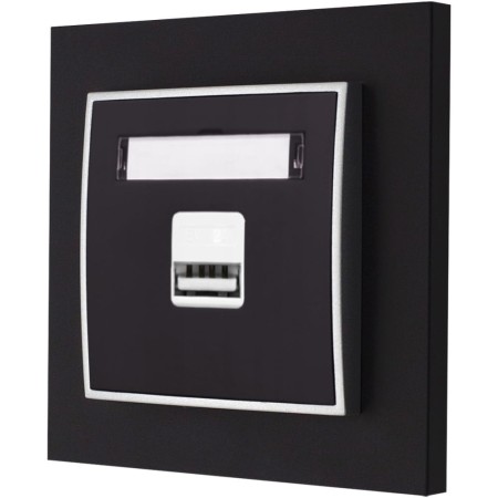 Gniazdo Ładowarka 1Xusb 2A Z Ramką Mini 12/07