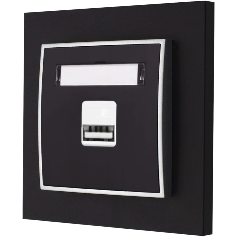 Gniazdo Ładowarka 1Xusb 2A Z Ramką Mini 12/07