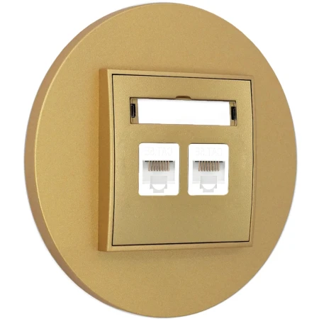 Gniazdo internetowe rj45 2x z ramką okrągłą seria MINI kolor złoty