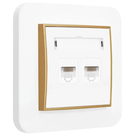 Gniazdo internetowe rj45 2x z ramką zaokrągloną seria MINI kolor biały mat/złoty